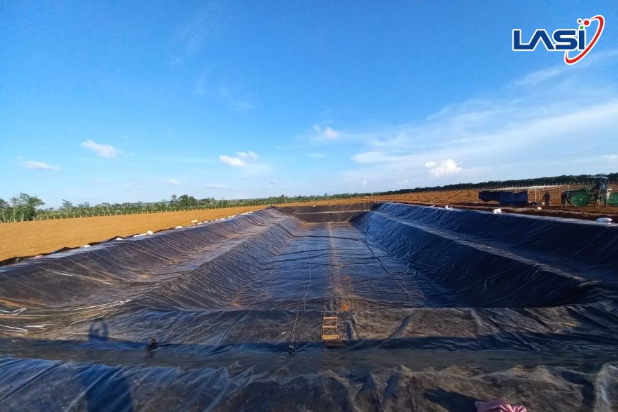 Một Số Kinh Nghiệm Nuôi Tôm Mùa Lạnh