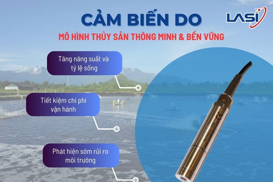 Những Lưu Ý Khi Nuôi Tôm Mùa Nắng Nóng