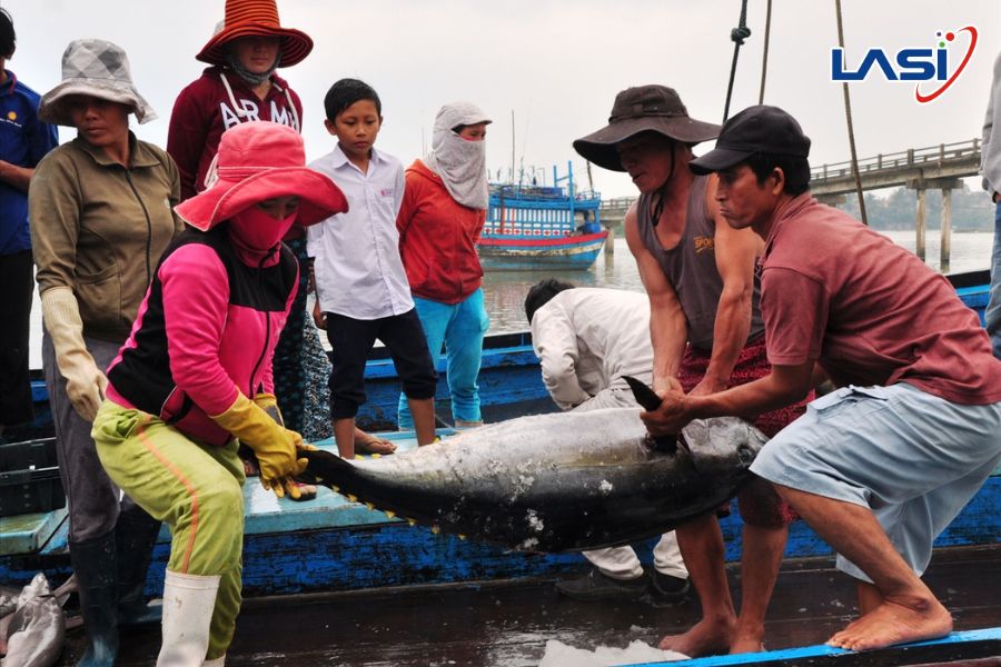 Tác Động Của Thẻ Vàng Thủy Sản Việt Nam