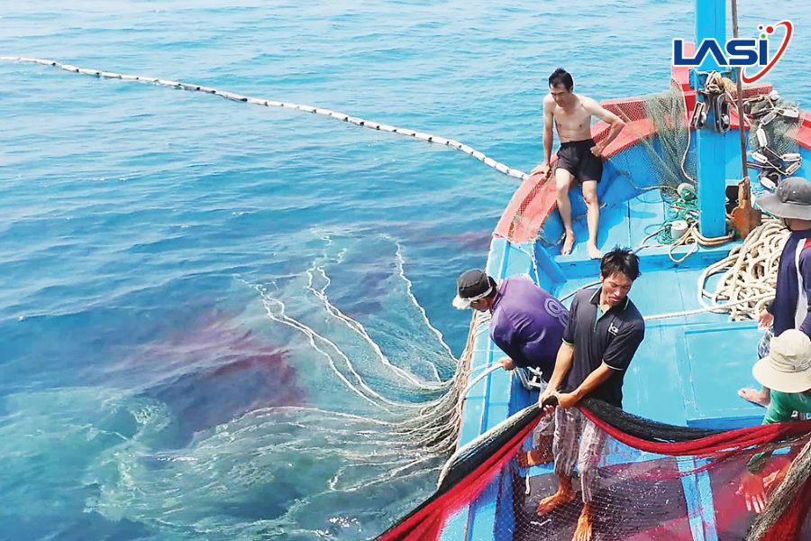 Tác Động Của Thẻ Vàng Thủy Sản Việt Nam