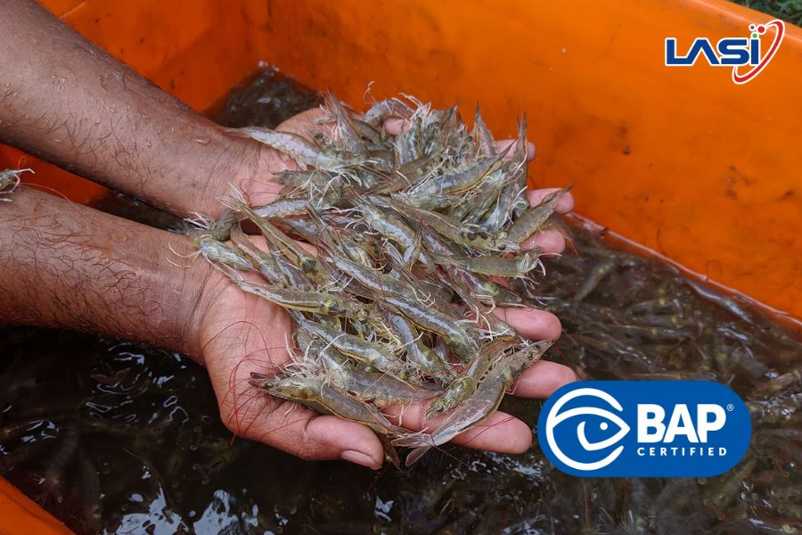 Tại Sao Doanh Nghiệp Phải Có Chứng Nhận ASC Và BAP