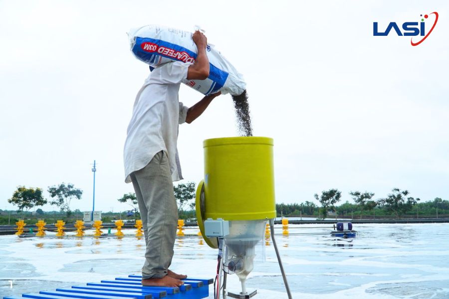Tiêu Chuẩn ASC Cho Tôm: Điều Kiện Trang Trại Nuôi Cần Đạt Được