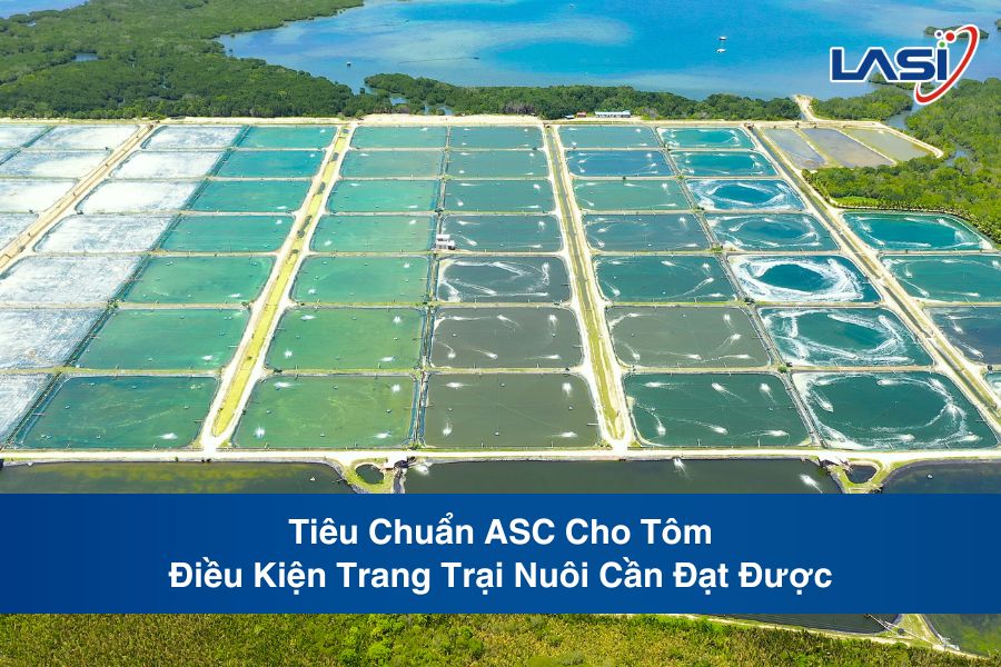 Tiêu Chuẩn ASC Cho Tôm: Điều Kiện Trang Trại Nuôi Cần Đạt Được