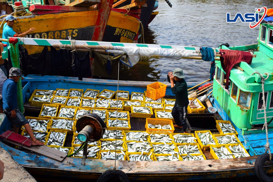 Vai Trò Quan Trọng Của Truy Xuất Nguồn Gốc Thủy Sản