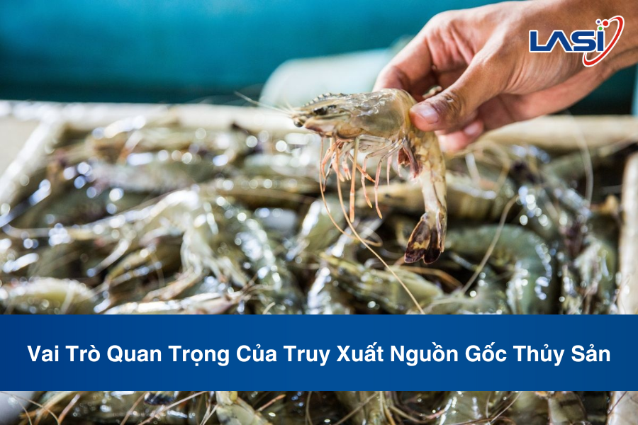 Vai Trò Quan Trọng Của Truy Xuất Nguồn Gốc Thủy Sản