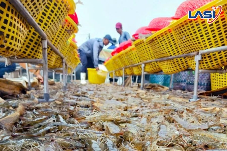 Cảm Biến Oxy Hòa Tan Trong Nuôi Trồng Tôm