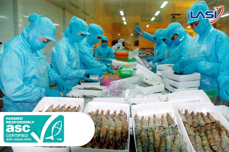 Cập Nhật Quy Định Mới Ảnh Hưởng Hoạt Động Xuất Khẩu Tôm Sang EU