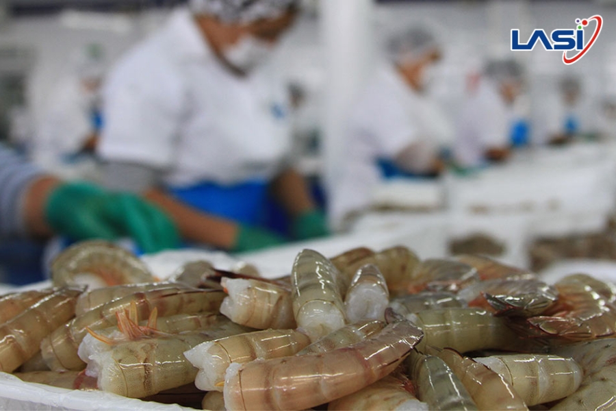 Cập Nhật Quy Định Mới Ảnh Hưởng Hoạt Động Xuất Khẩu Tôm Sang EU