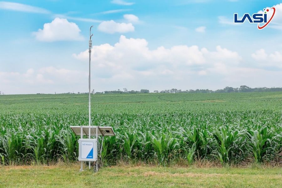 Carbon Node - Dữ Liệu Cho Tương Lai Xanh