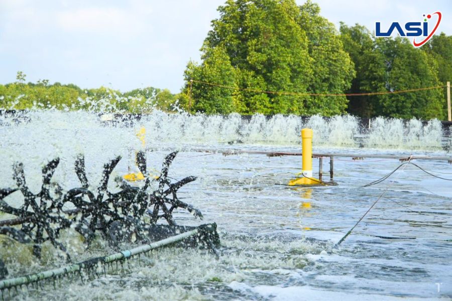 Chuyển Dịch Xanh Ngành Thủy Sản Việt Nam