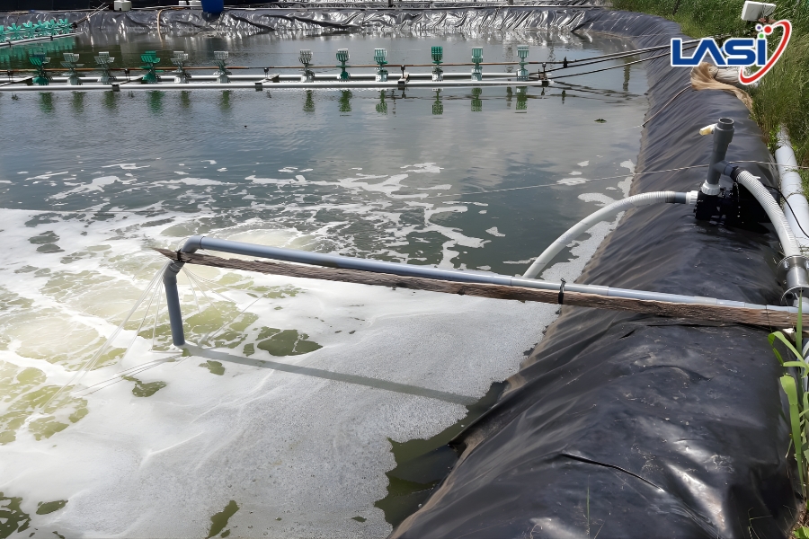 Hiểu Đúng Oxy Hòa Tan Trong Ao Nuôi Tôm Để Tối Ưu Năng Suất Vụ Nuôi