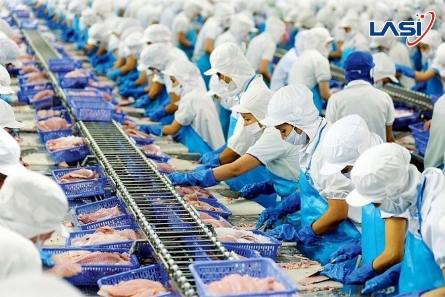 Thẻ Vàng IUU - Cảnh Báo Lớn Cho Ngành Thủy Sản Việt Nam