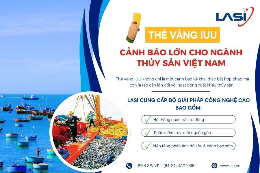 Thẻ Vàng IUU - Cảnh Báo Lớn Cho Ngành Thủy Sản Việt Nam