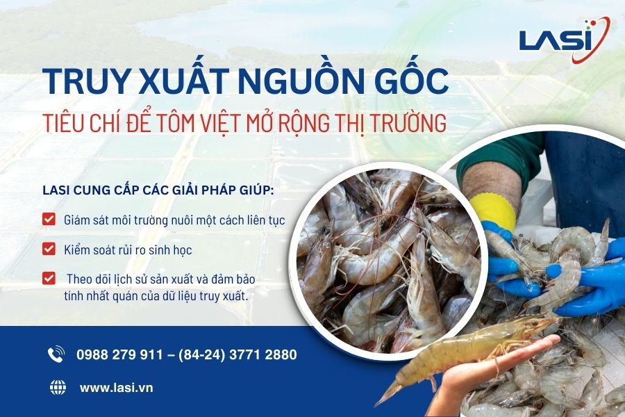 Truy Xuất Nguồn Gốc Thủy Sản Tôm - Tiêu Chí Để Tôm Việt Mở Rộng Thị Trường