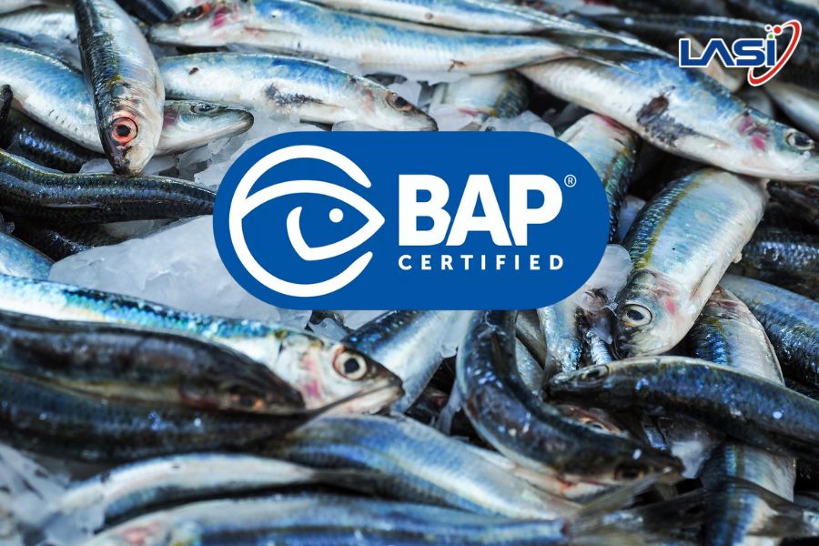 Các Tiêu Chuẩn Quốc Tế Trong Ngành Xuất Khẩu Tôm