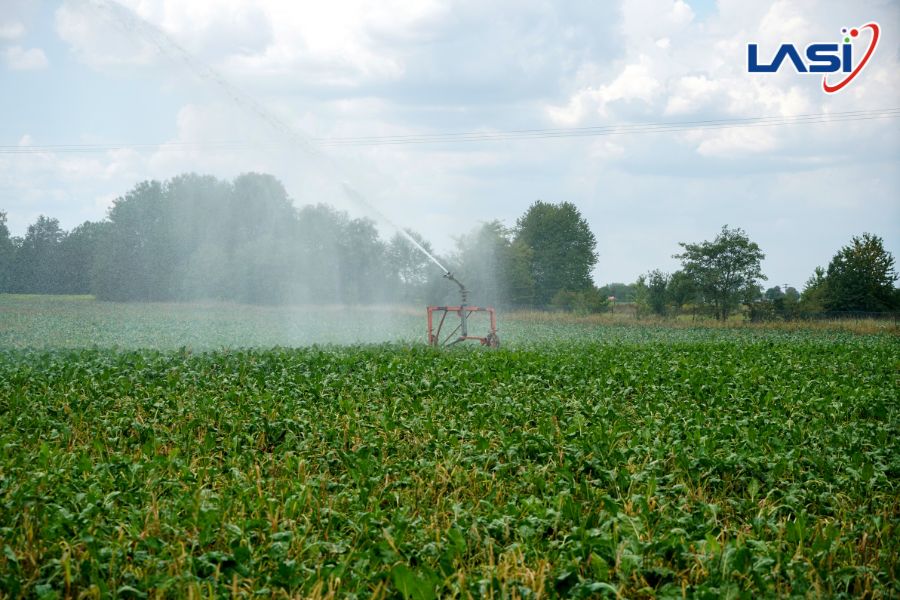 Giải Pháp Giảm Phát Thải N2O Nông Nghiệp Hiệu Quả