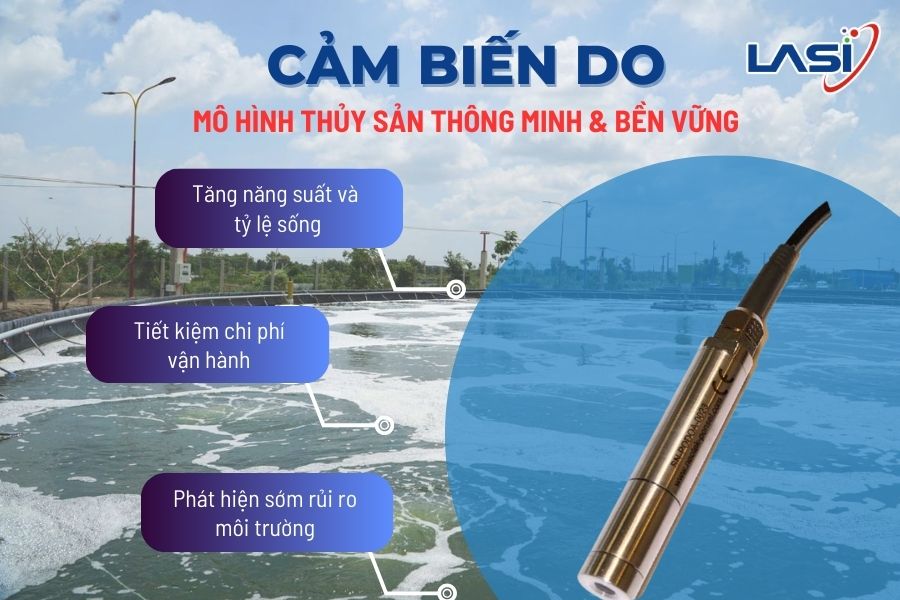 Giám Sát Sự Sống Thủy Hải Sản Qua Số Liệu Oxy Hòa Tan