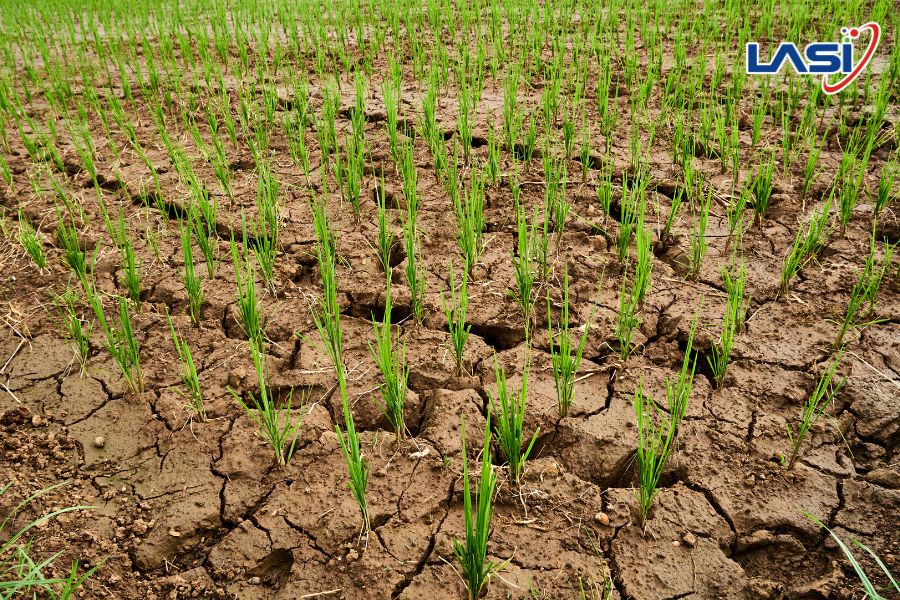 Tác Động Của Phát Thải Khí Nhà Kính Đến Các Doanh Nghiệp