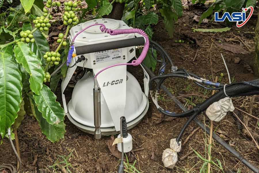 Tại Sao Nông Nghiệp Phát Thải Thấp Trở Thành Xu Hướng Tất Yếu?