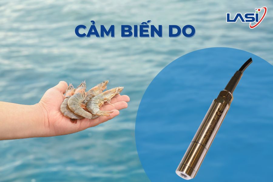 Tăng Năng Suất Với Cảm Biến DO Trong Nuôi Tôm