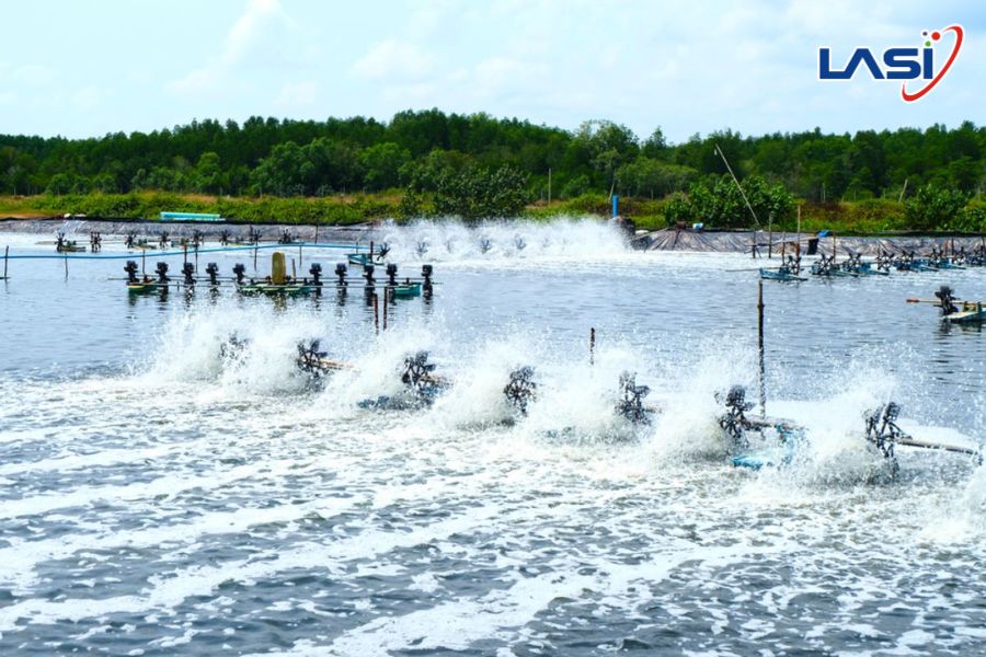 Ứng Dụng Công Nghệ Trong Việc Tối Ưu Chi Phí Nuôi Tôm