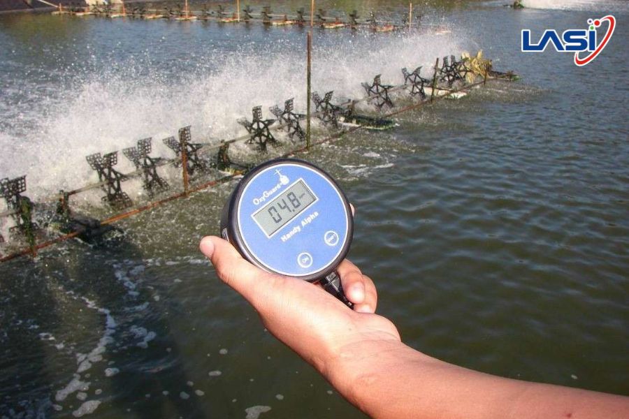 Biện Pháp Duy Trì Chất Lượng Nước Ao Nuôi Tôm