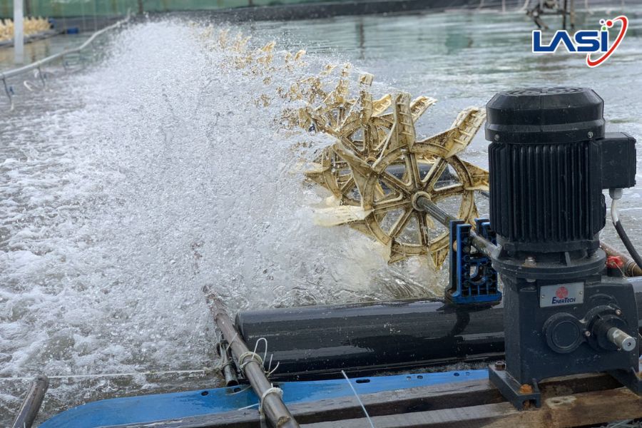 Biện Pháp Duy Trì Chất Lượng Nước Ao Nuôi Tôm