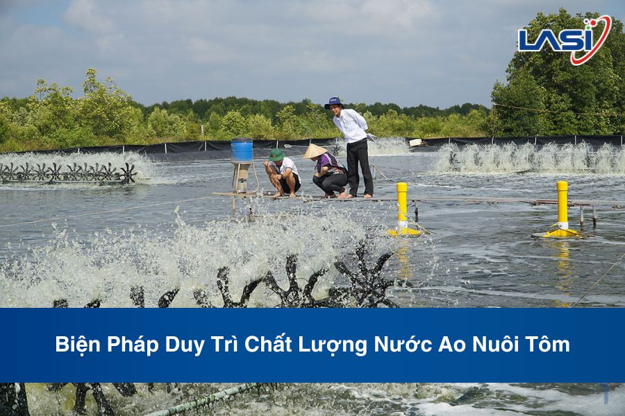 Biện Pháp Duy Trì Chất Lượng Nước Ao Nuôi Tôm