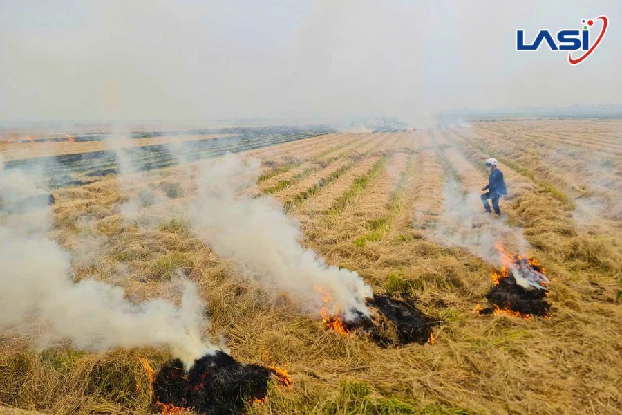 Các Nguồn Phát Thải CO2 Trong Nông Nghiệp