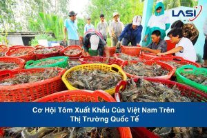 Cơ Hội Tôm Xuất Khẩu Của Việt Nam Trên Thị Trường Quốc Tế