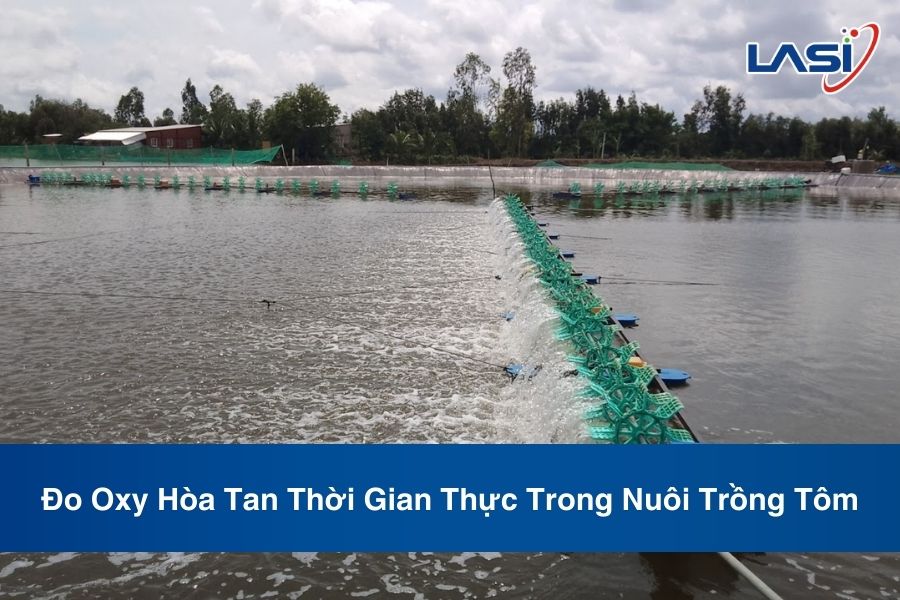 Đo Oxy Hòa Tan Thời Gian Thực Trong Nuôi Trồng Tôm