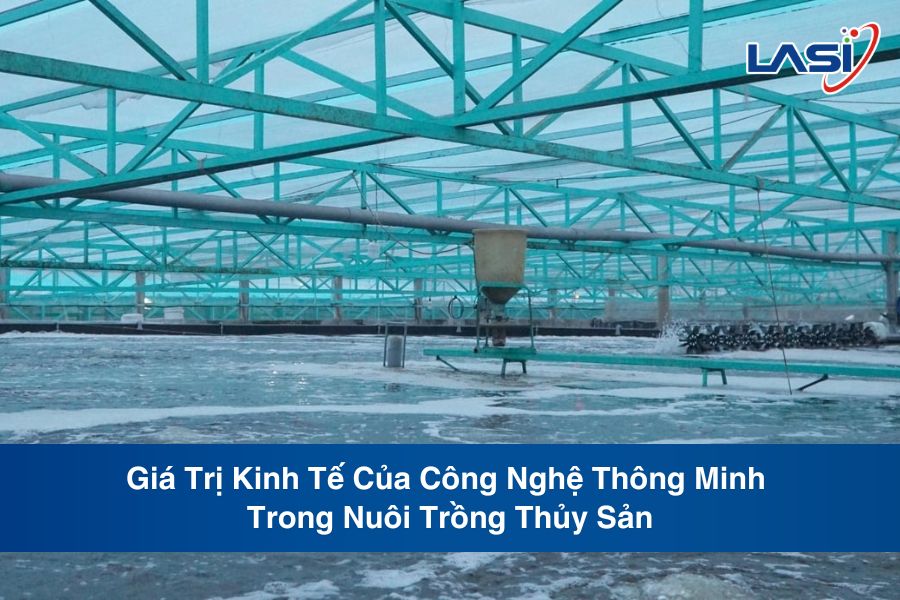 Giá Trị Kinh Tế Của Công Nghệ Thông Minh Trong Nuôi Trồng Thủy Sản