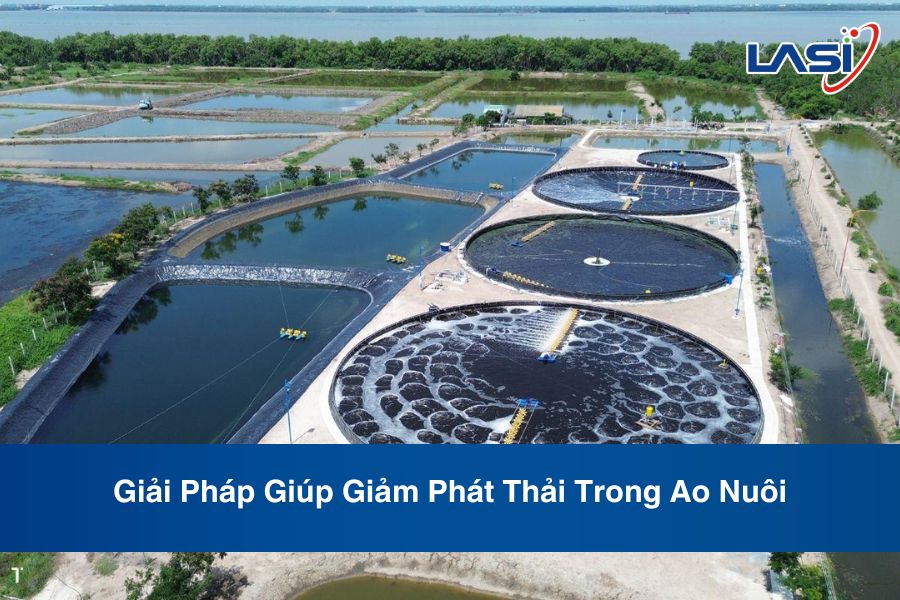 Giải Pháp Giúp Giảm Phát Thải Trong Ao Nuôi