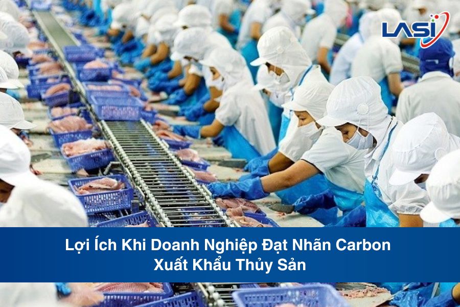 Lợi Ích Khi Doanh Nghiệp Đạt Nhãn Carbon Xuất Khẩu Thủy Sản