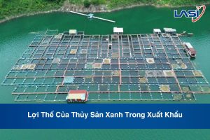 Lợi Thế Của Thủy Sản Xanh Trong Xuất Khẩu