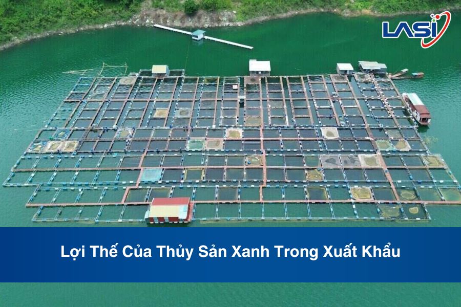 Lợi Thế Của Thủy Sản Xanh Trong Xuất Khẩu