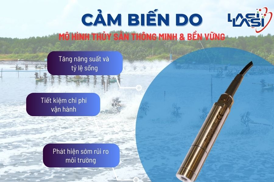 Mô Hình Giám Sát Sự Sống Thủy Hải Sản Qua Số Liệu Oxy Hòa Tan