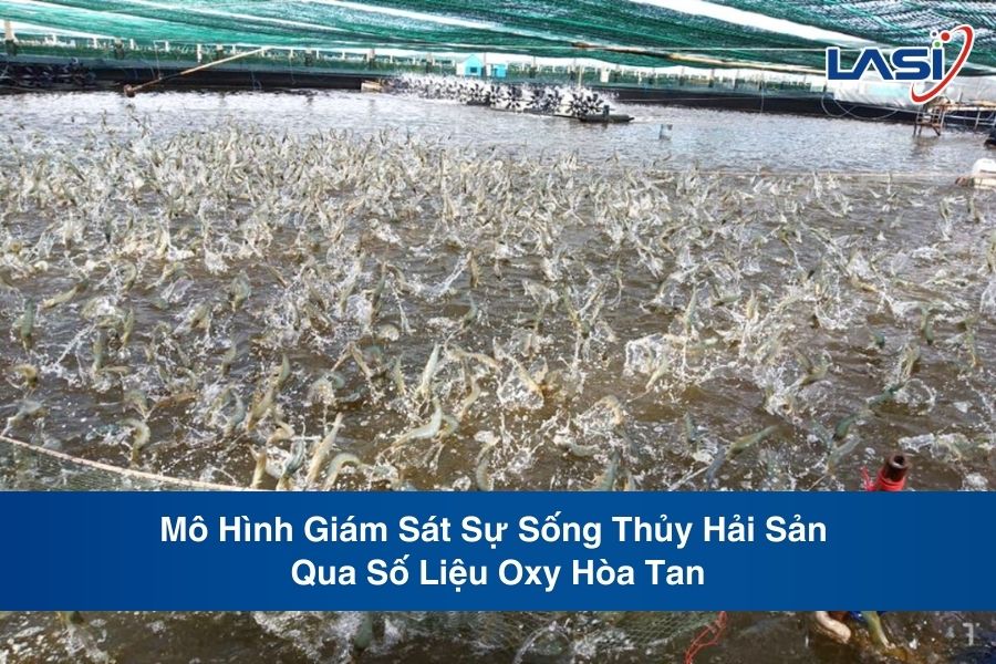 Mô Hình Giám Sát Sự Sống Thủy Hải Sản Qua Số Liệu Oxy Hòa Tan