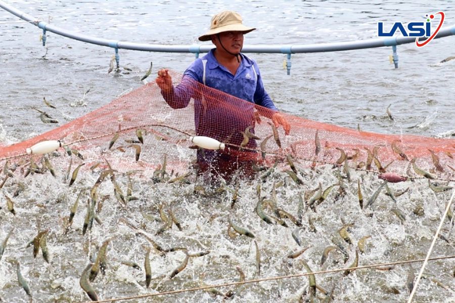 Nhãn Carbon - Bước Đi Chiến Lược Cho Thủy Sản Việt Nam