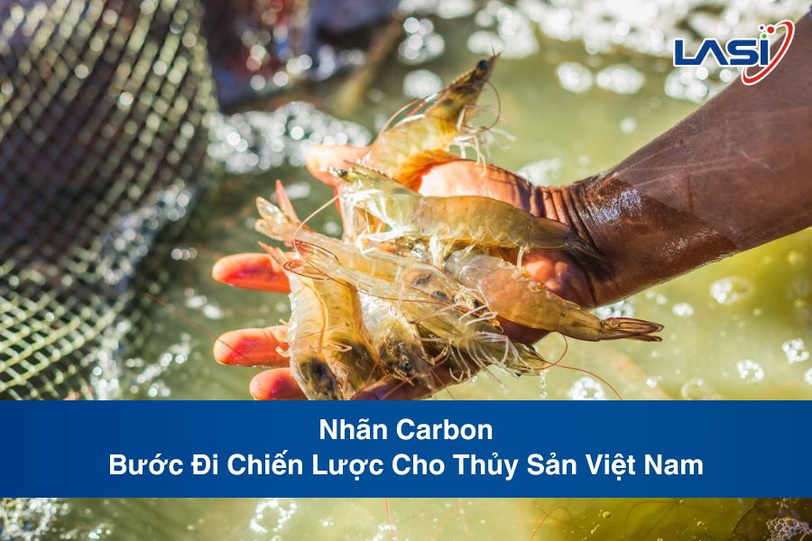 Nhãn Carbon - Bước Đi Chiến Lược Cho Thủy Sản Việt Nam