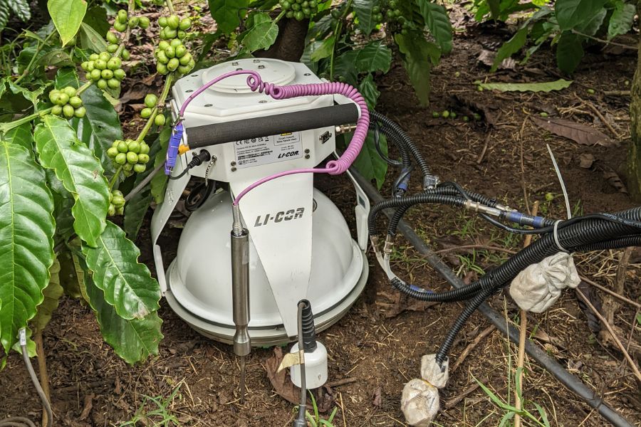 Nông Nghiệp Carbon Thấp: Xu Hướng Phát Triển Bền Vững