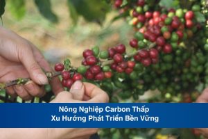 Nông Nghiệp Carbon Thấp: Xu Hướng Phát Triển Bền Vững