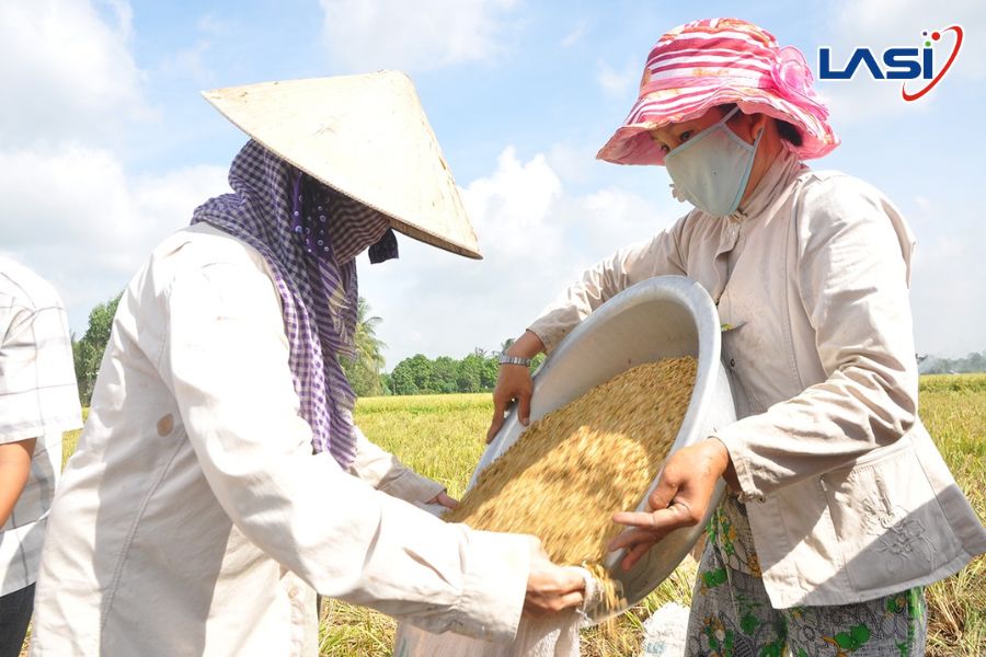 Nông Nghiệp Thông Minh Mang Lại Những Lợi Ích Gì?