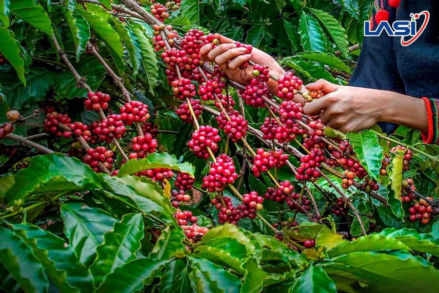 Nông Nghiệp Thông Minh Mang Lại Những Lợi Ích Gì?