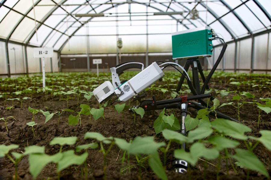 Mô Hình Nông Nghiệp Thông Minh Tại Việt Nam