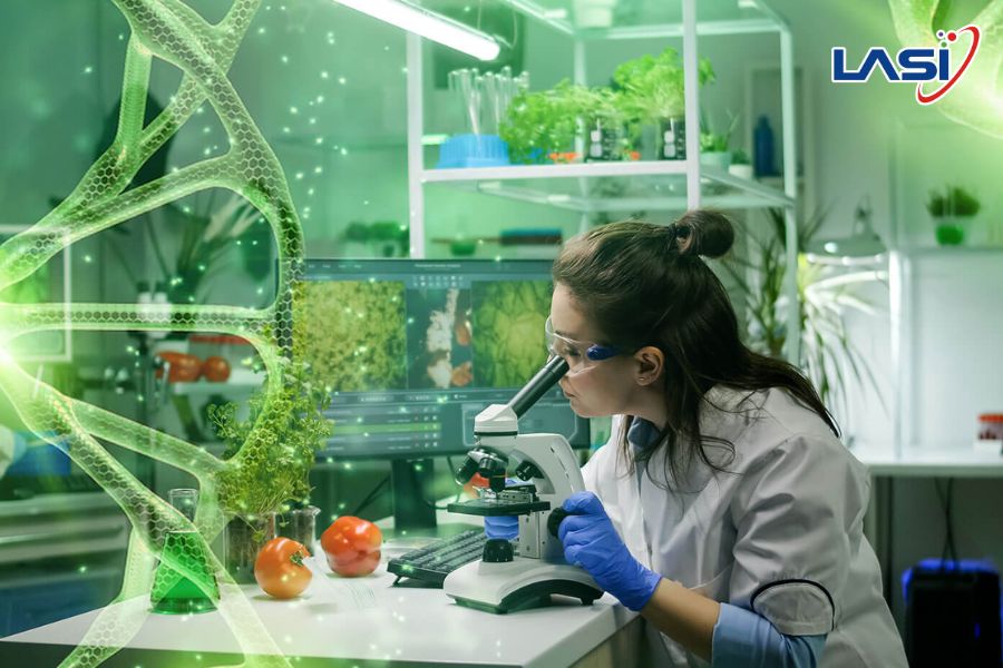 Các Mô Hình Nông Nghiệp Thông Minh Phổ Biến Hiện Nay