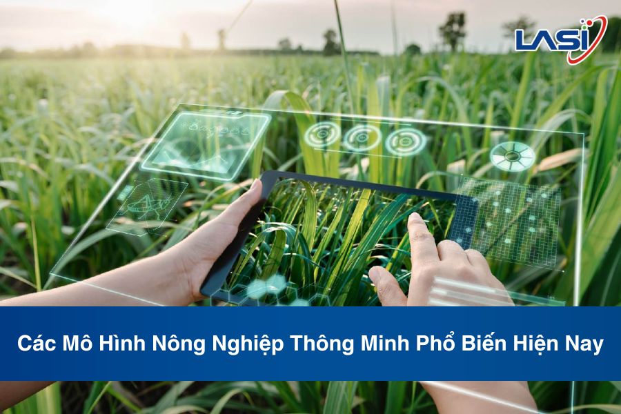 Các Mô Hình Nông Nghiệp Thông Minh Phổ Biến Hiện Nay