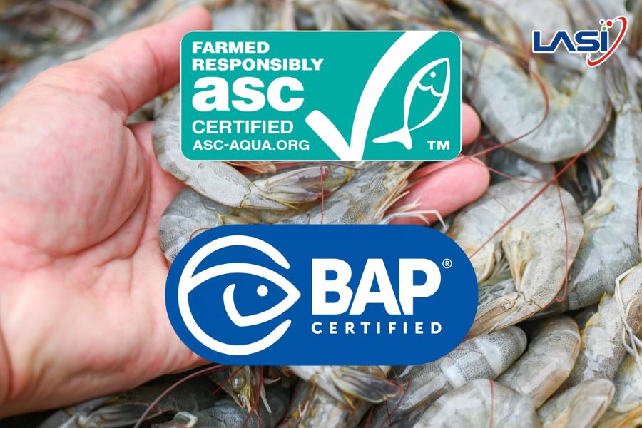 Các Mô Hình Nuôi Tôm Thân Thiện Môi Trường