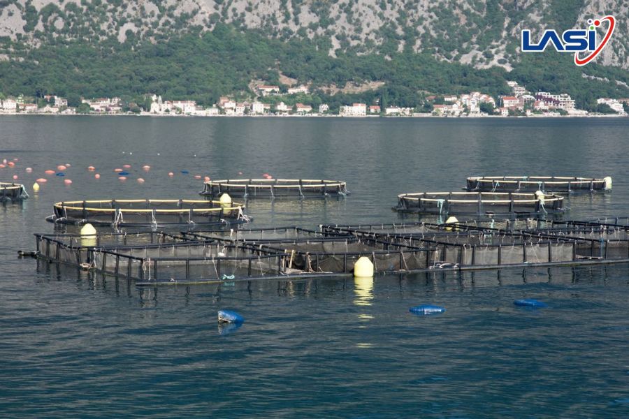 Các Mô Hình Trang Trại Thủy Sản Bền Vững