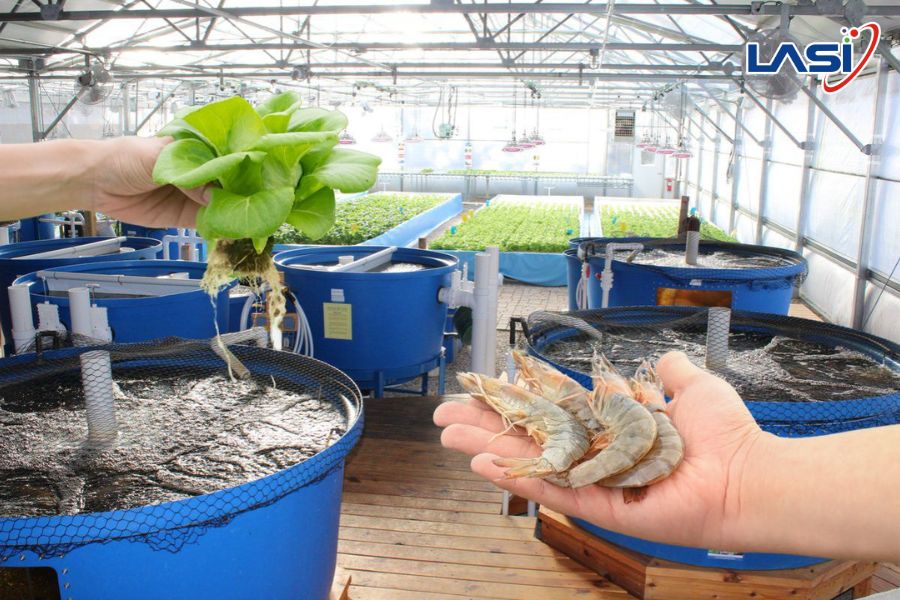 Các Mô Hình Trang Trại Thủy Sản Bền Vững